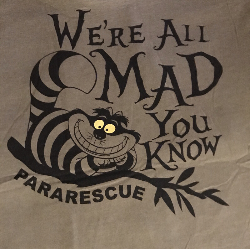 pja/ T-Shirt - We’re All Mad You Know!