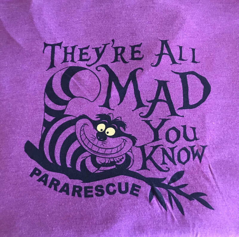 pja/ T-Shirt Ladies Pink “They’re All Mad You Know”