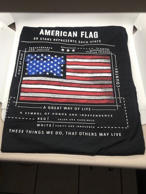 pja/ T-Shirt Black American Flag/PJ Flash