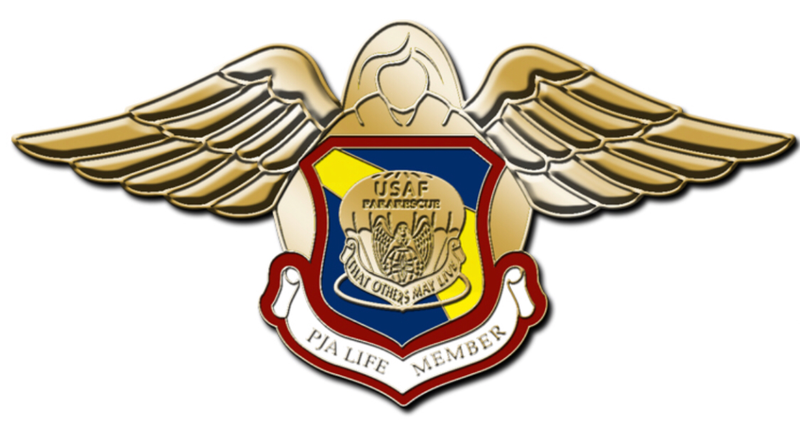 bdg/ Badge PJ Association Life Membership Badge