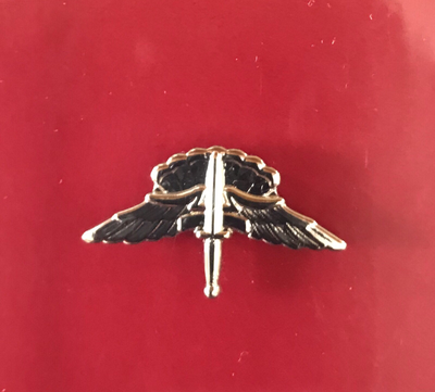 bdg/ Badge Freefall Jump Wings - Mirror Finish (Mini-Badge)