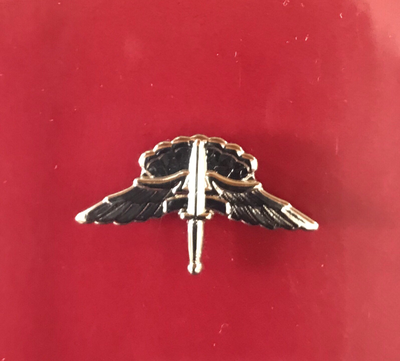 HALO Freefall Jump Wings – Mini Badge, Mirror Finish