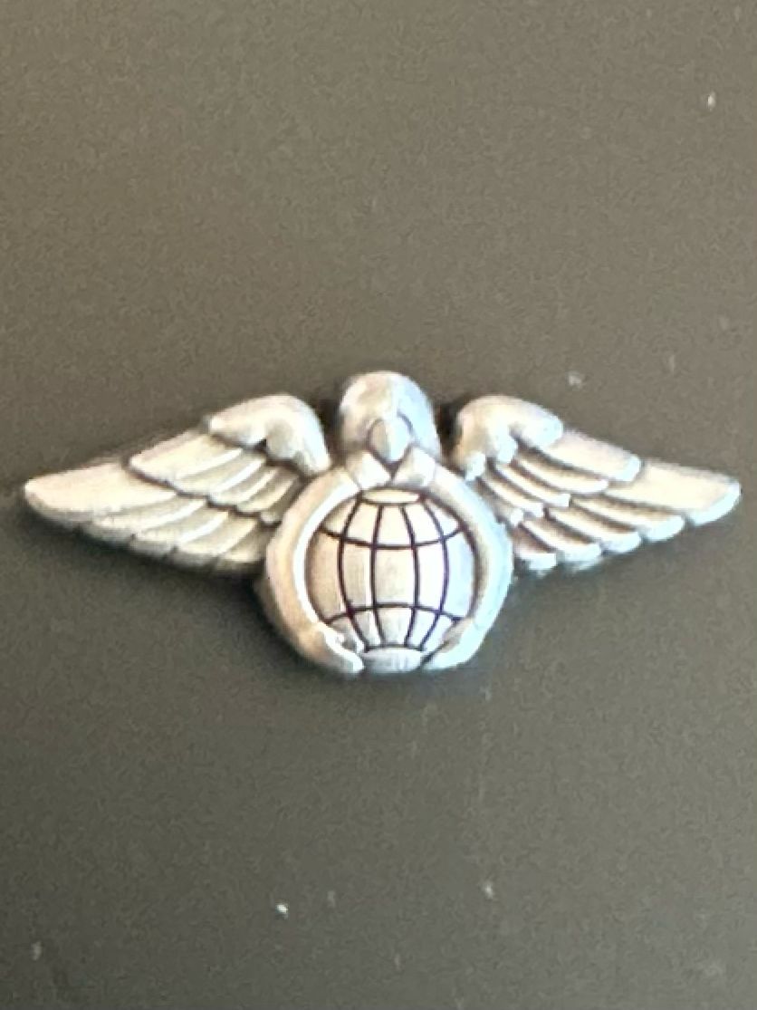 PJA/Guardian Angel Lapel Pin, Tie Tack, Pewter