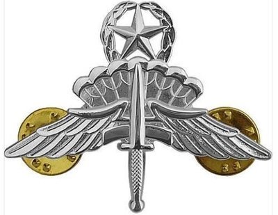 Master HALO Freefall Jump Wings – Regulation Size, Mirror Finish