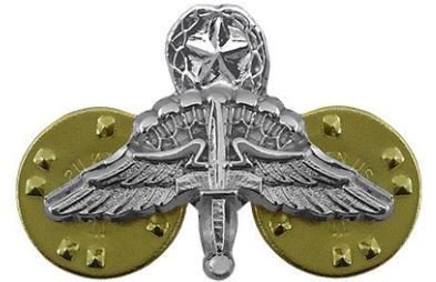 Master HALO Freefall Jump Wings – Mini Badge, Mirror Finish