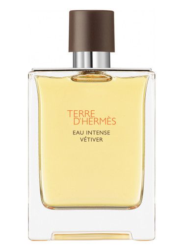 Terre D&#39;Hermes Eau Intense
