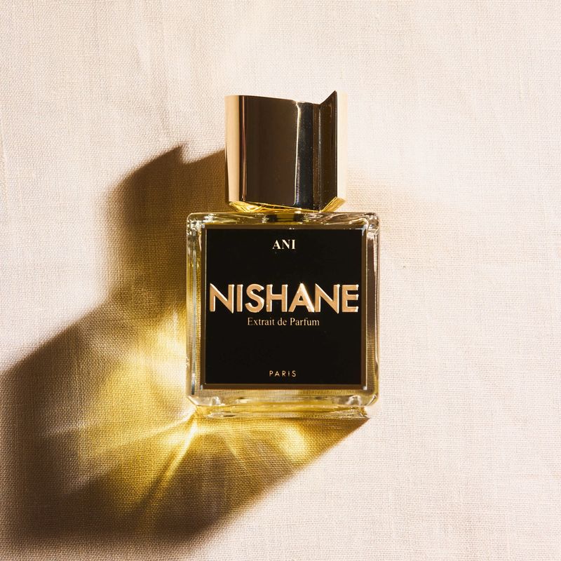 Ani Nishane