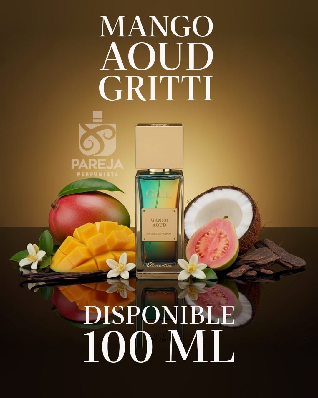 Mango Aoud Gritti
