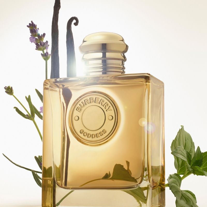 Goddess Intense Burberry