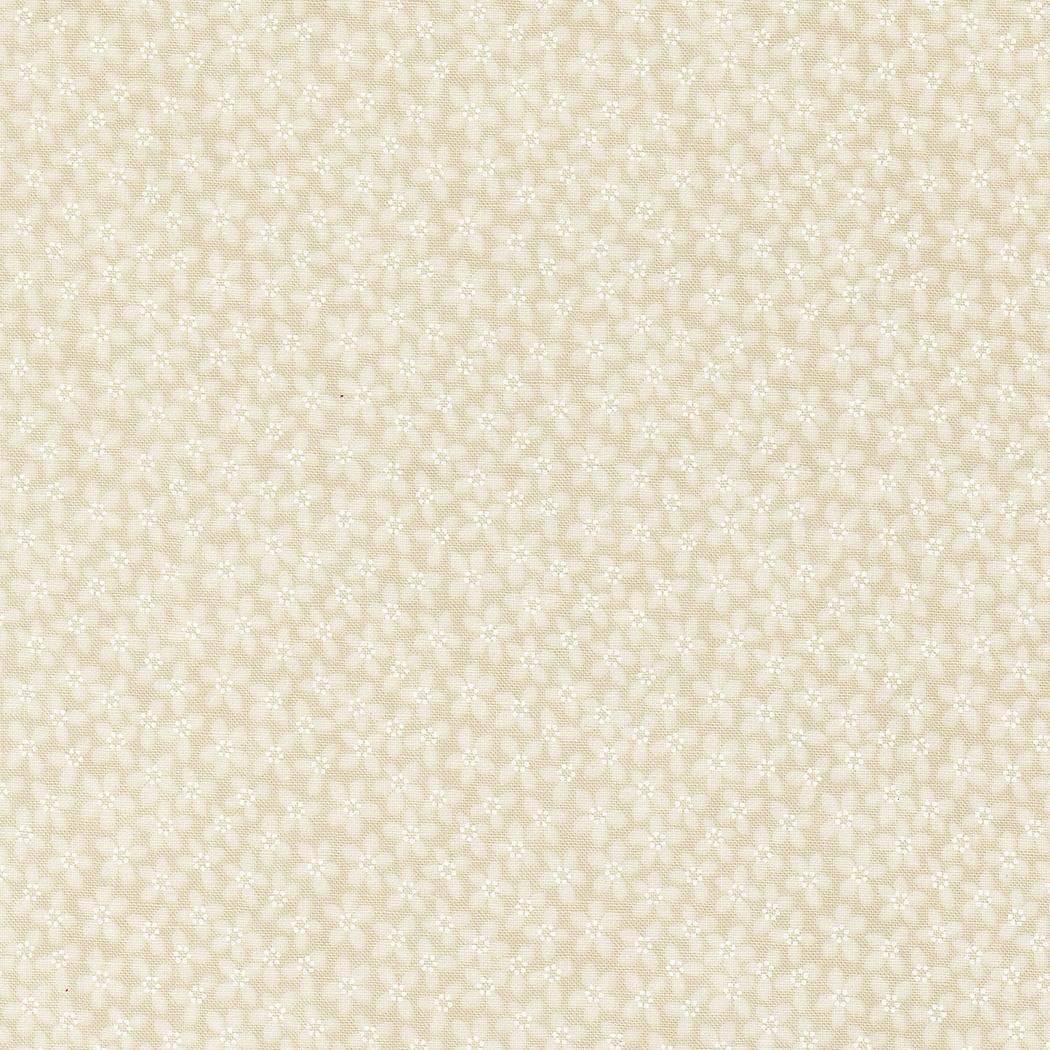 KT Favorites Background Dandelion 9777 21