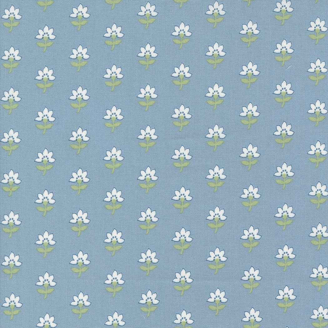 Shoreline Light Blue 55301 12
