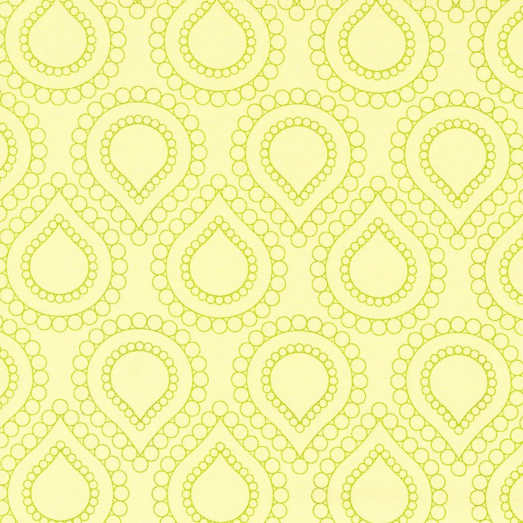 Rainbow Sherbet Kiwi 45021 29