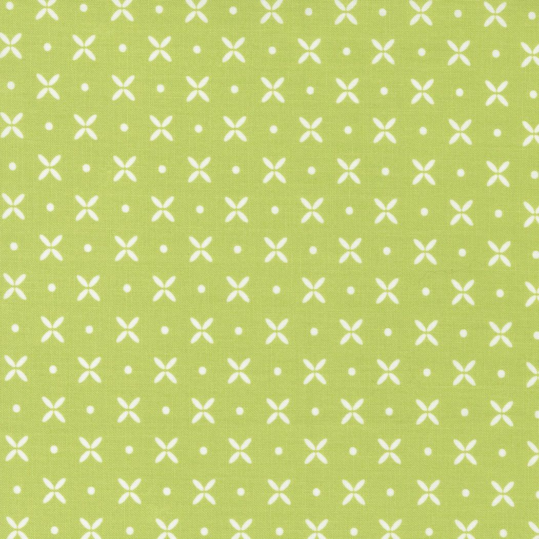 Simply Delightful Pistachio 37641 24