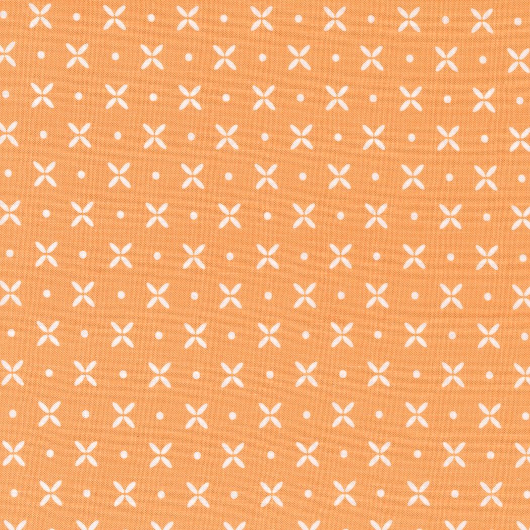 Simply Delightful Apricot 37641 22