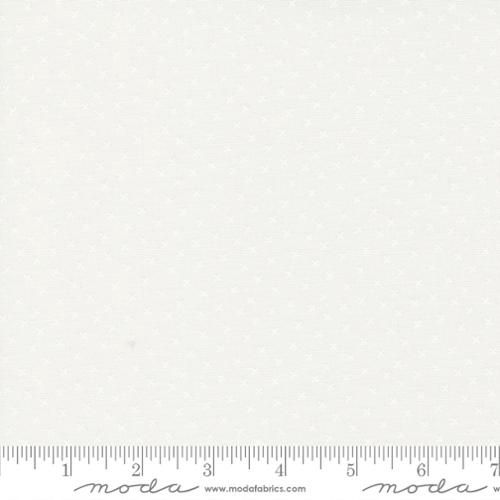 Coriander Seeds White 29146 11
