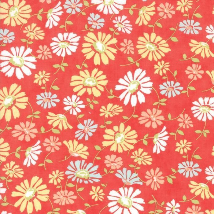 Catalina Lollipop 20371 11