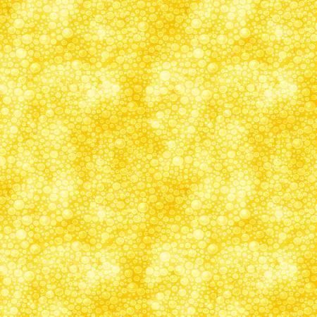 Soda Pop Pineapple 39118 555