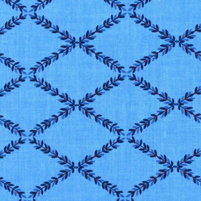 Harry and Alice C7492 Blue