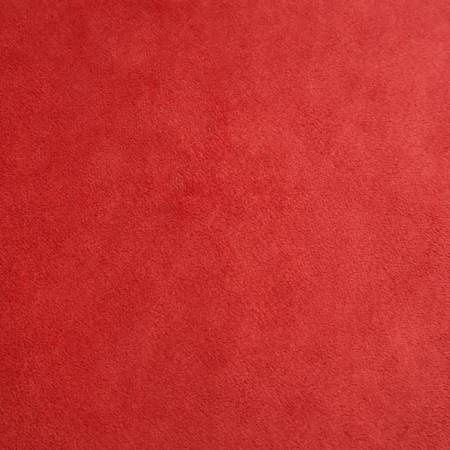 Cuddle Minky Scarlet C3-SCAR