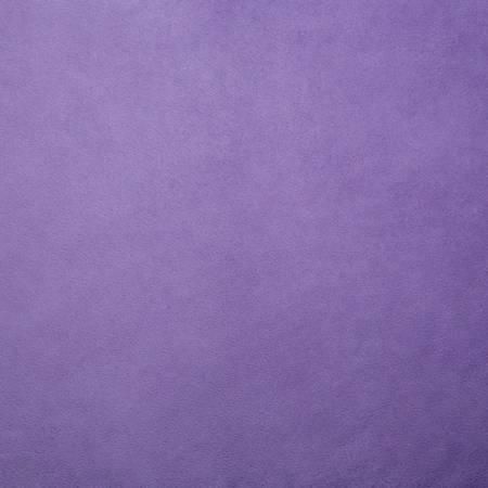 Cuddle Minky Jewel Solid 90in