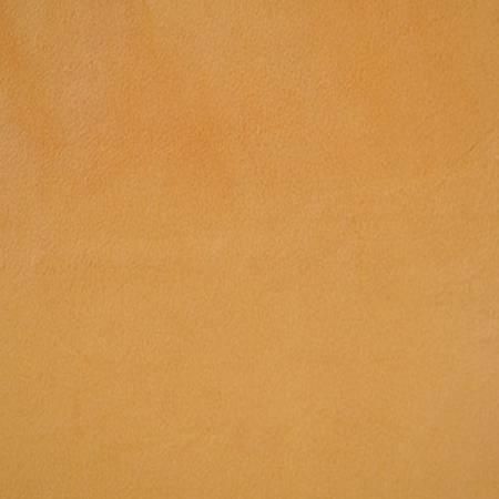 Cuddle Minky Pumpkin Solid