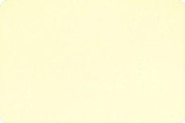 Cuddle Minky Vanilla 58/60"