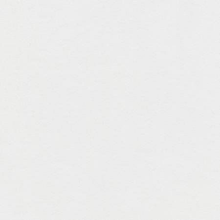 Silver Solid Flannel F019-SILVER