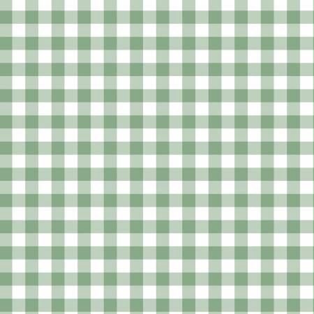 Gingham Flannel Sage F13906R-SAGE