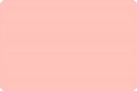 Cuddle Minky Coral Solid 90in