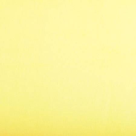 Cuddle Minky Sunshine Solid 58/60"