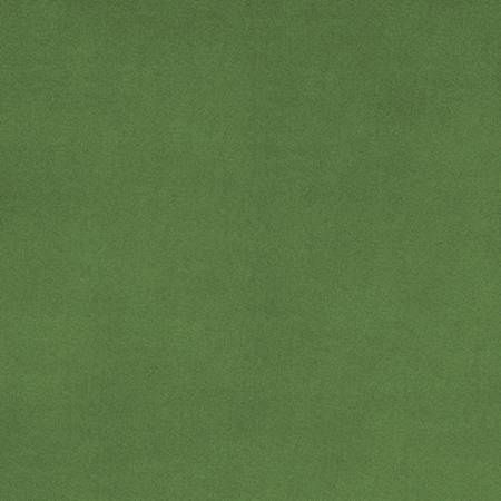 Cuddle Minky Basil Solid 58/60"