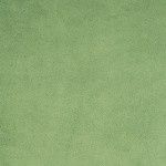 Cuddle Minky Olive Solid 58/60"