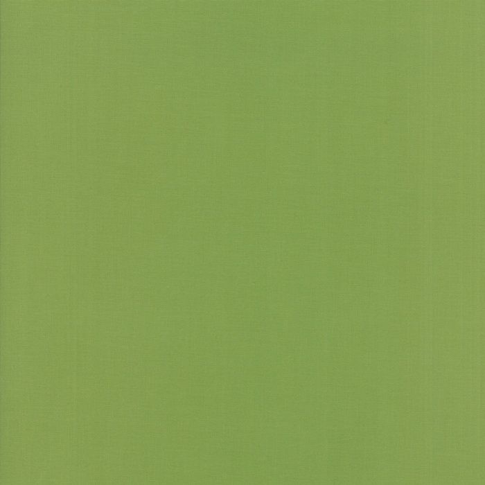 Bella Solids Fern 9900 344