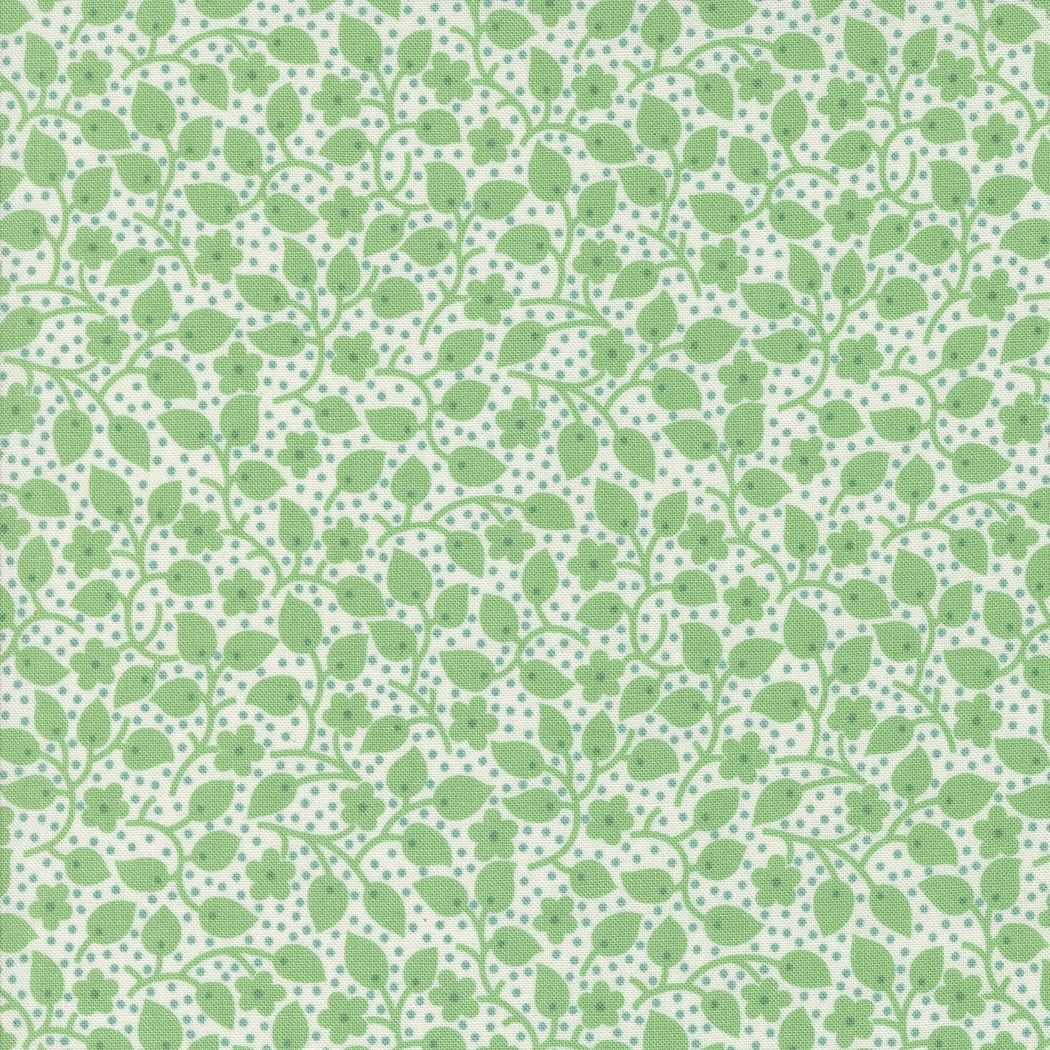 30's Playtime 33753 11 Aloe