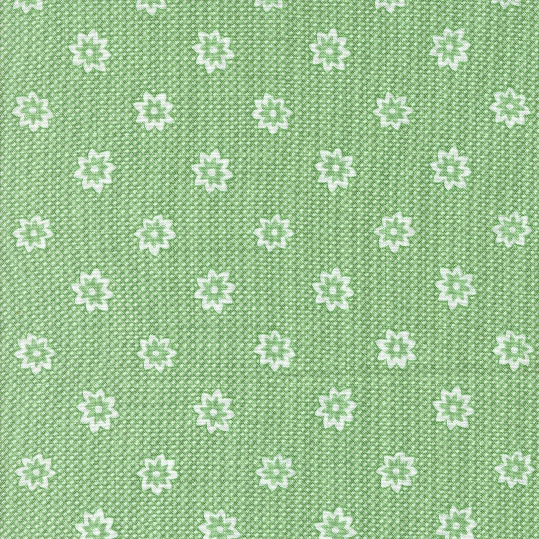 30's Playtime 33752 17 Aloe