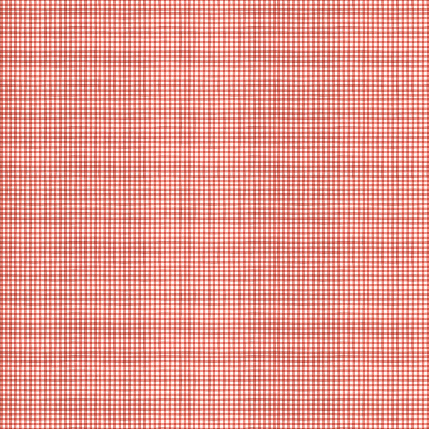 Quack Quack Moo Red-White 27822-24