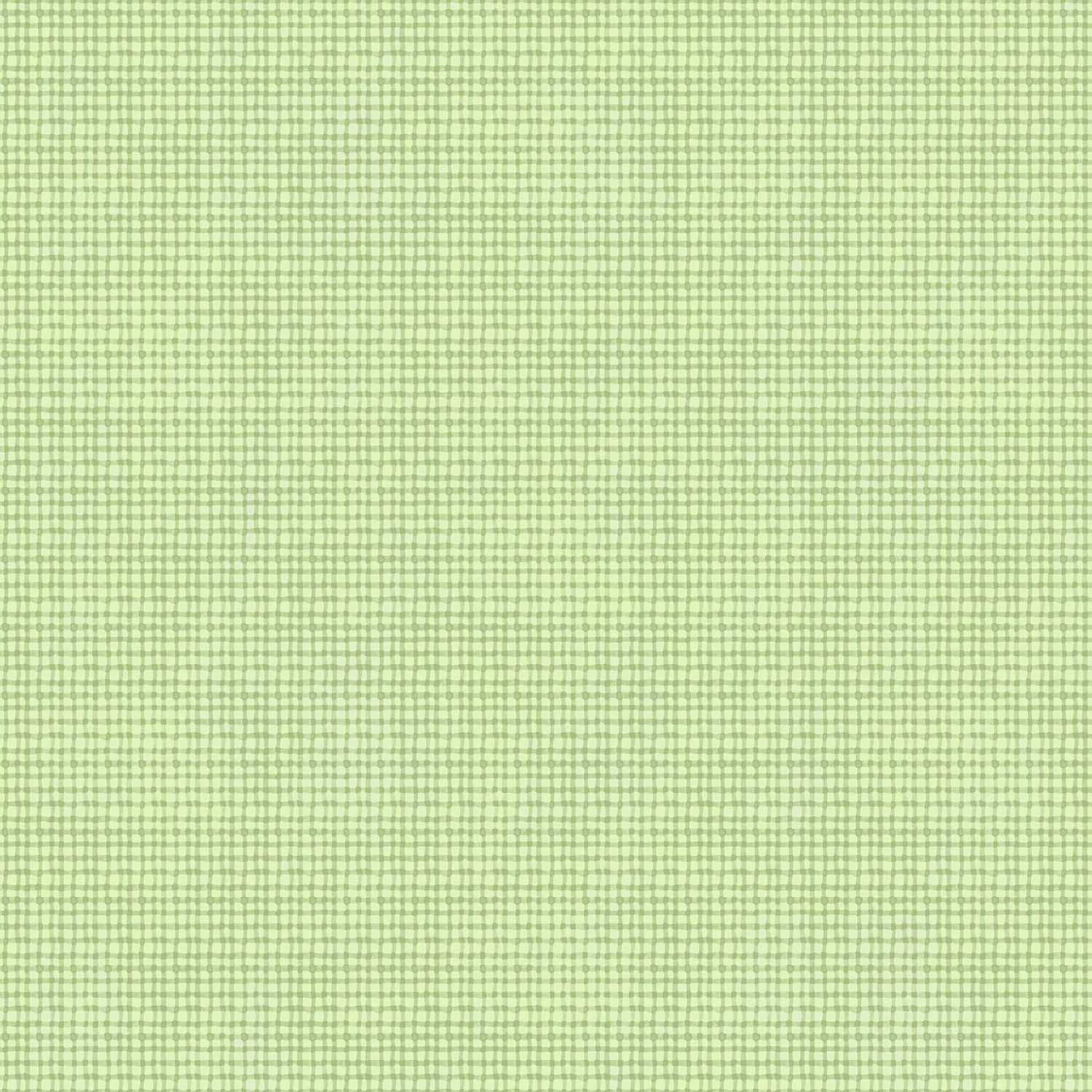 Sunny Safari Green Check 27769-72