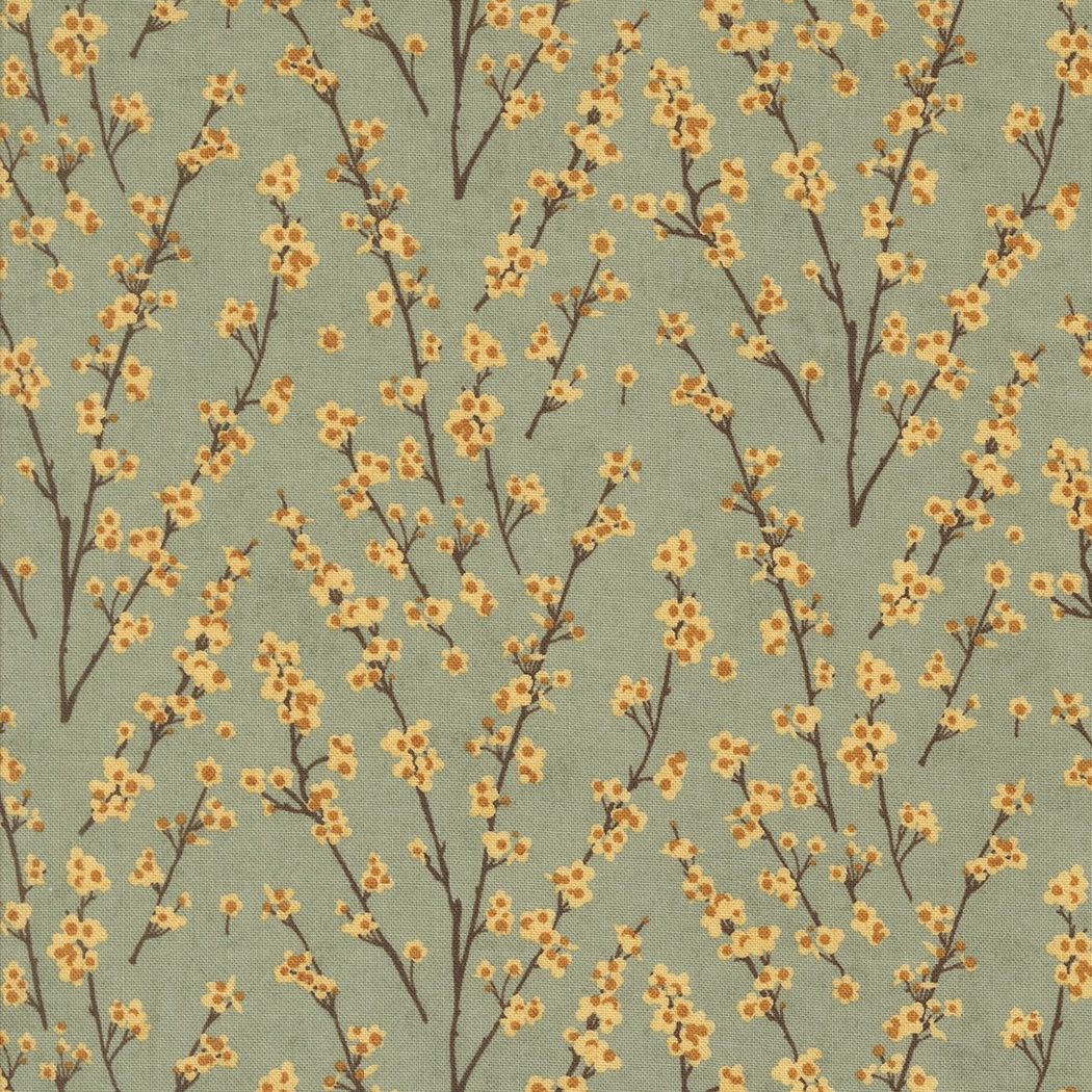 Acorn Hollow Sage 30765 18