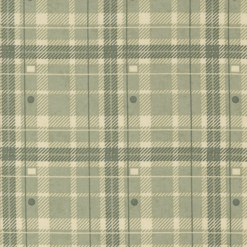 Acorn Hollow Sage 30764 20