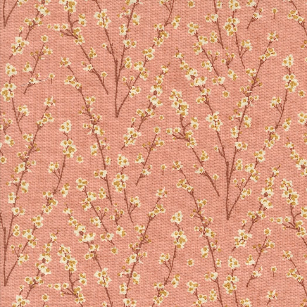 Acorn Hollow Apple 30765 17