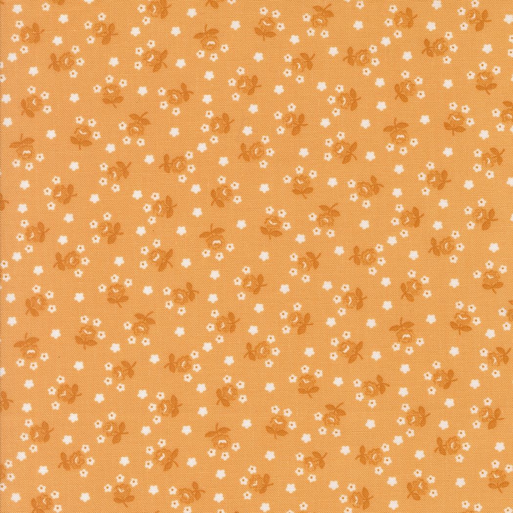 Summertime Orange 55328 15