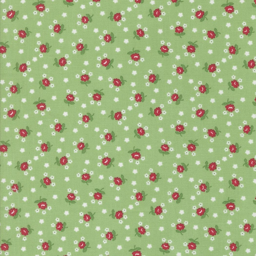 Summertime Green 55328 17