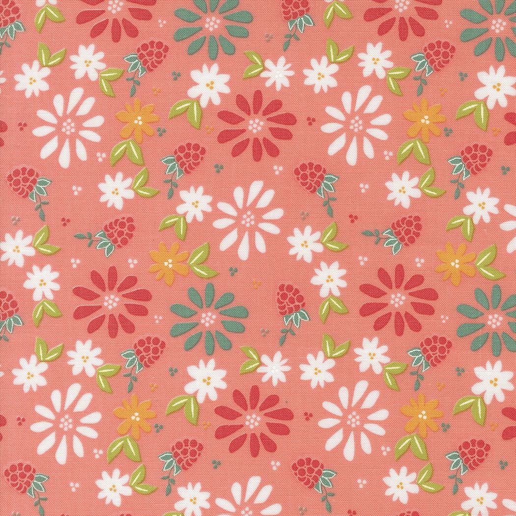 Raspberry Summer Carnation 37690 12
