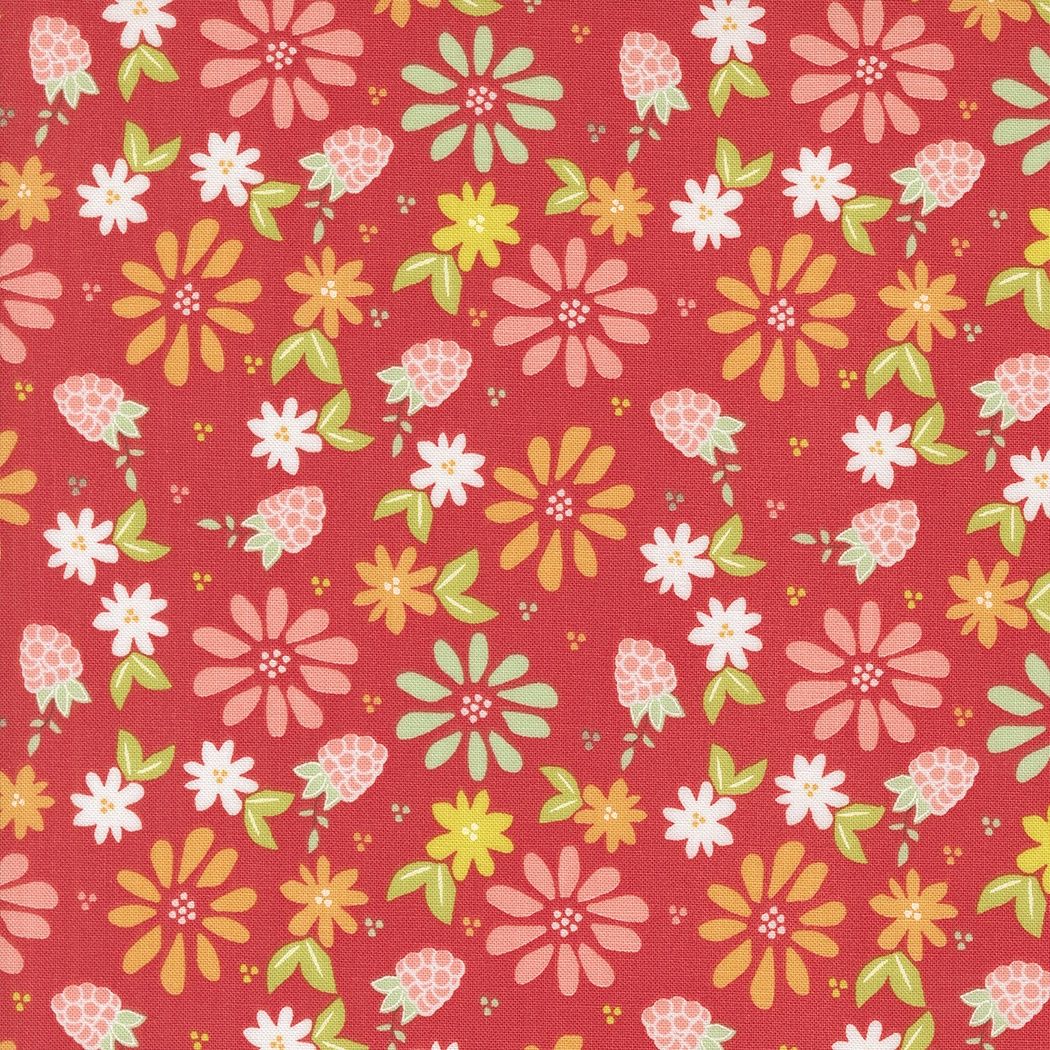Raspberry Summer Raspberry 37690 13