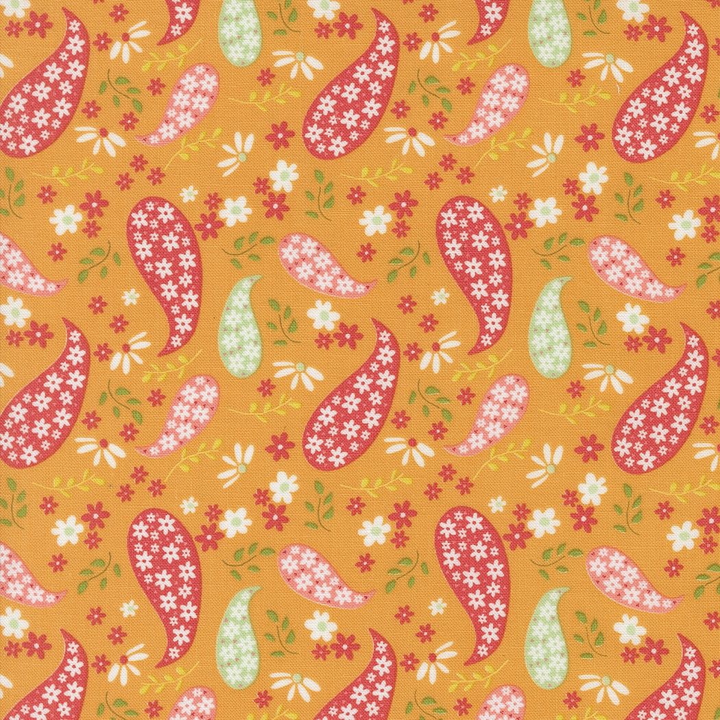 Raspberry Summer Apricot 37691 14