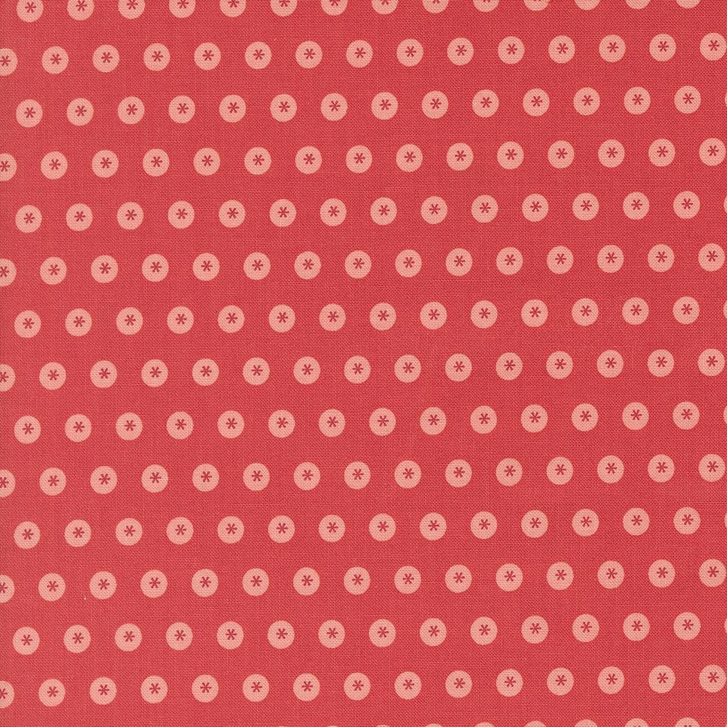 Raspberry Summer Raspberry 37692 13