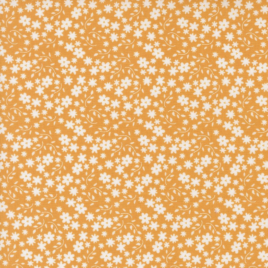 Raspberry Summer Apricot 37693 14