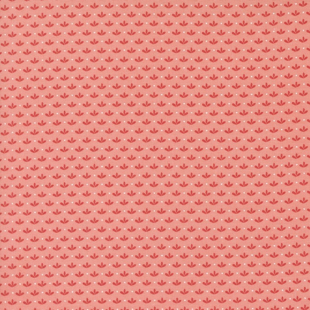 Raspberry Summer Carnation 37694 12