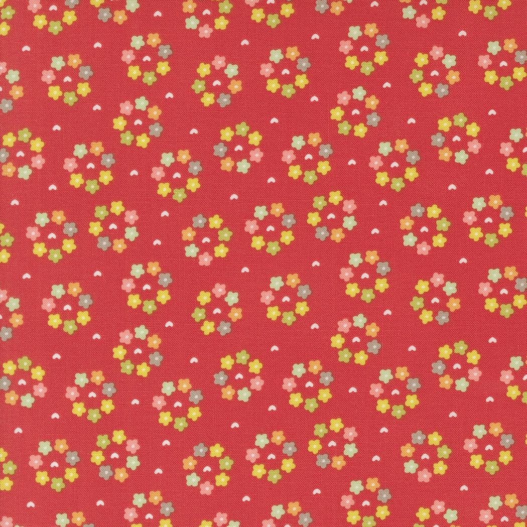 Raspberry Summer Raspberry 37695 13