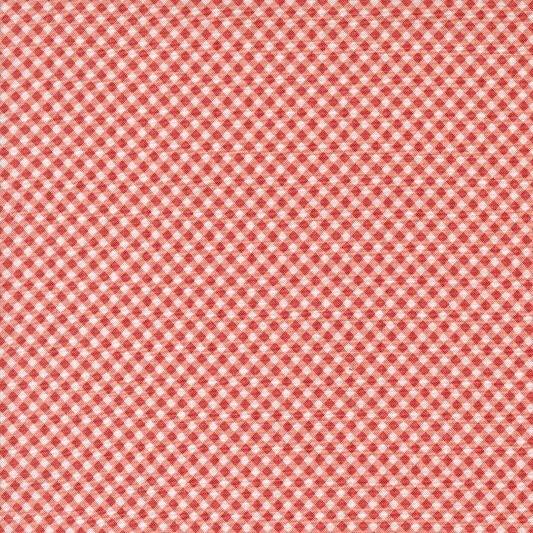 Raspberry Summer Carnation 37697 12